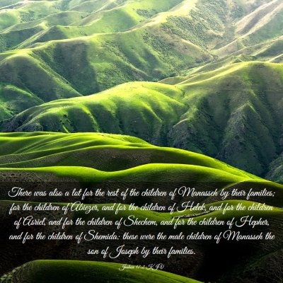 Picture 03 - Joshua 17:2 KJV - There was also a lot for the rest of the children - Bible Verse Picture