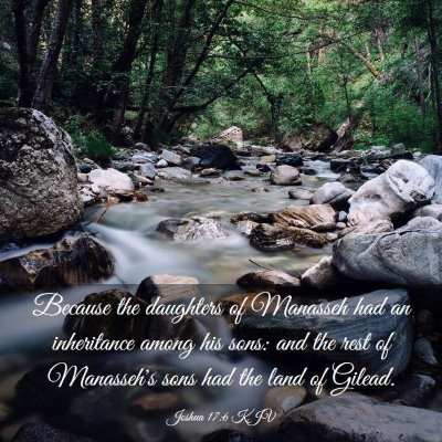 Picture 03 - Joshua 17:6 KJV - Because the daughters of Manasseh had an - Bible Verse Picture