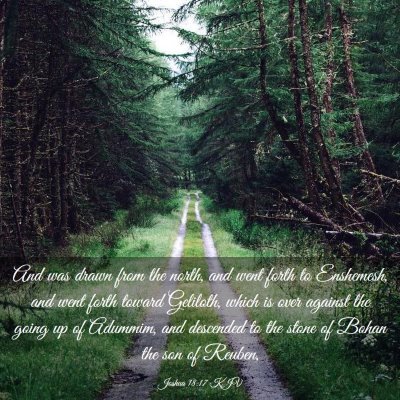 Picture 03 - Joshua 18:17 KJV - And was drawn from the north, and went forth to - Bible Verse Picture