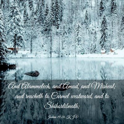 Picture 03 - Joshua 19:26 KJV - And Alammelech, and Amad, and Misheal; and - Bible Verse Picture