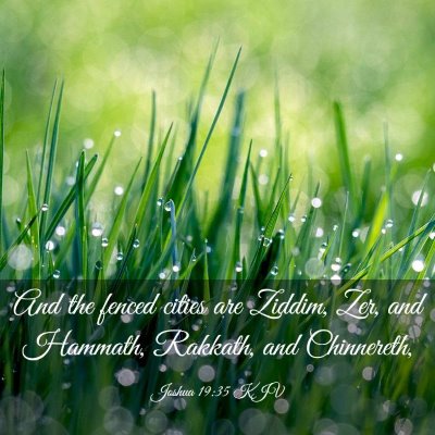 Picture 03 - Joshua 19:35 KJV - And the fenced cities are Ziddim, Zer, and - Bible Verse Picture