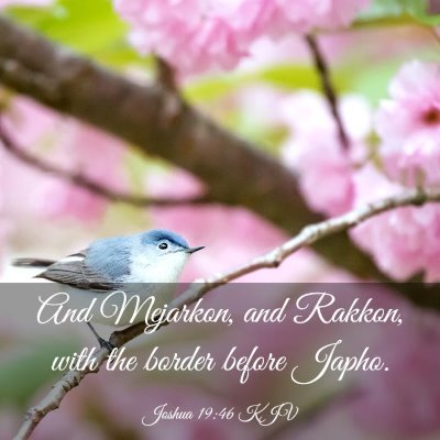 Picture 03 - Joshua 19:46 KJV - And Mejarkon, and Rakkon, with the border before - Bible Verse Picture