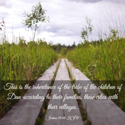 Picture 03 - Joshua 19:48 KJV - This is the inheritance of the tribe of the - Bible Verse Picture