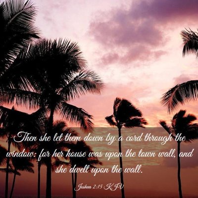 Picture 03 - Joshua 2:15 KJV - Then she let them down by a cord through the - Bible Verse Picture