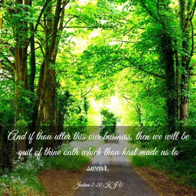 Picture 03 - Joshua 2:20 KJV - And if thou utter this our business, then we will - Bible Verse Picture