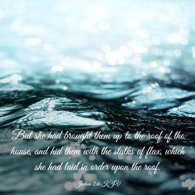 Picture 03 - Joshua 2:6 KJV - But she had brought them up to the roof of the - Bible Verse Picture