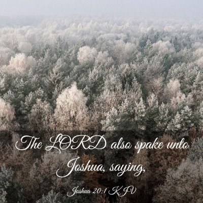 Picture 03 - Joshua 20:1 KJV - The LORD also spake unto Joshua, - Bible Verse Picture