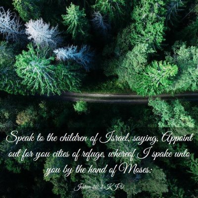 Picture 03 - Joshua 20:2 KJV - Speak to the children of Israel, saying, Appoint - Bible Verse Picture