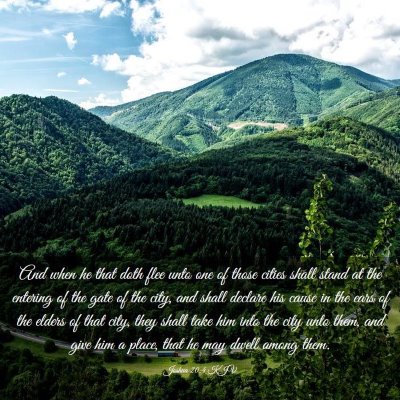 Picture 03 - Joshua 20:4 KJV - And when he that doth flee unto one of those - Bible Verse Picture