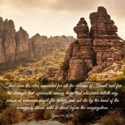 Picture 03 - Joshua 20:9 KJV - These were the cities appointed for all the - Bible Verse Picture