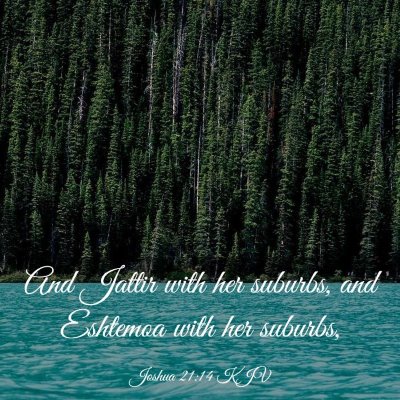 Picture 03 - Joshua 21:14 KJV - And Jattir with her suburbs, and Eshtemoa with - Bible Verse Picture