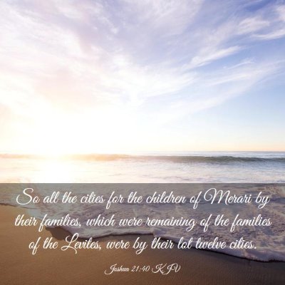 Picture 03 - Joshua 21:40 KJV - So all the cities for the children of Merari by - Bible Verse Picture