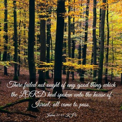 Picture 03 - Joshua 21:45 KJV - There failed not ought of any good thing which - Bible Verse Picture