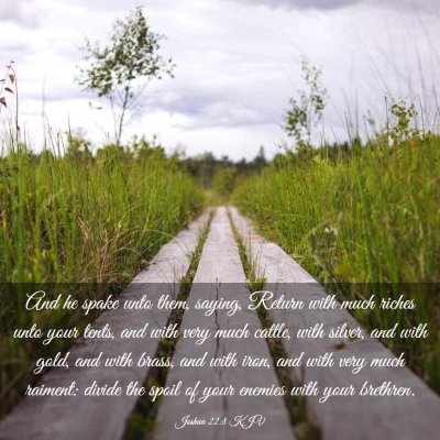 Picture 03 - Joshua 22:8 KJV - And he spake unto them, saying, Return with much - Bible Verse Picture