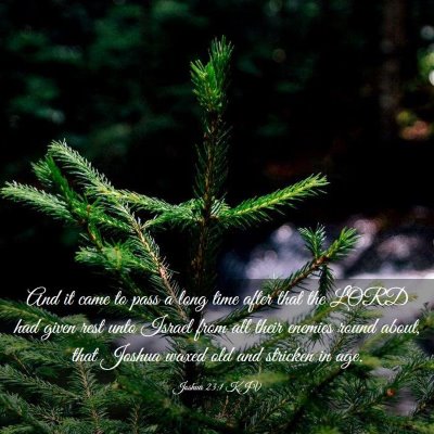Picture 03 - Joshua 23:1 KJV - And it came to pass a long time after that the - Bible Verse Picture