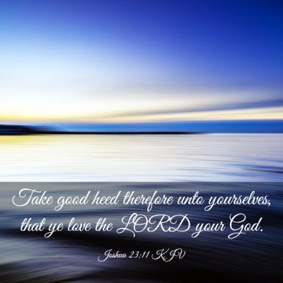 Picture 03 - Joshua 23:11 KJV - Take good heed therefore unto yourselves, that ye - Bible Verse Picture