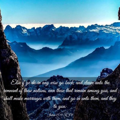 Picture 03 - Joshua 23:12 KJV - Else if ye do in any wise go back, and cleave - Bible Verse Picture