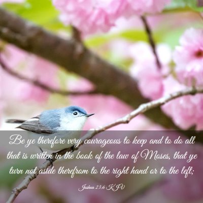 Picture 03 - Joshua 23:6 KJV - Be ye therefore very courageous to keep and to do - Bible Verse Picture