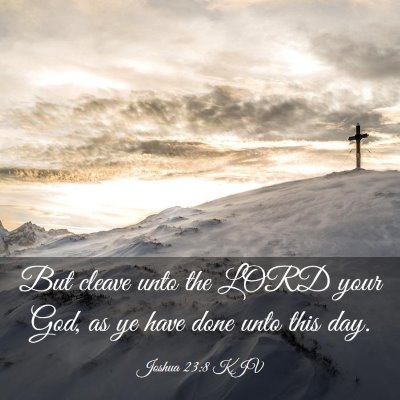 Picture 03 - Joshua 23:8 KJV - But cleave unto the LORD your God, as ye have - Bible Verse Picture