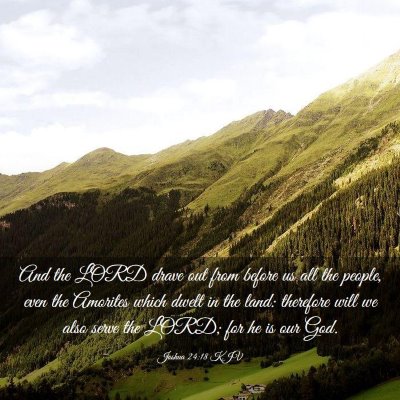 Picture 03 - Joshua 24:18 KJV - And the LORD drave out from before us all the - Bible Verse Picture