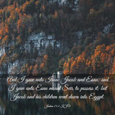 Picture 03 - Joshua 24:4 KJV - And I gave unto Isaac Jacob and Esau: and I gave - Bible Verse Picture