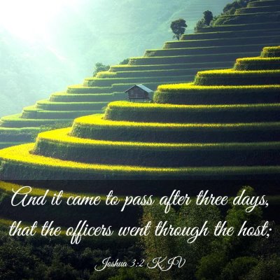 Picture 03 - Joshua 3:2 KJV - And it came to pass after three days, that the - Bible Verse Picture