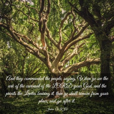 Picture 03 - Joshua 3:3 KJV - And they commanded the people, saying, When ye - Bible Verse Picture