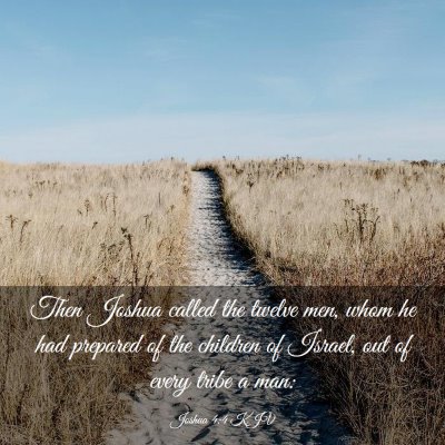Picture 03 - Joshua 4:4 KJV - Then Joshua called the twelve men, whom he had - Bible Verse Picture