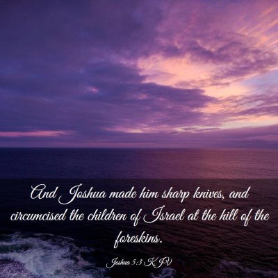 Picture 03 - Joshua 5:3 KJV - And Joshua made him sharp knives, and circumcised - Bible Verse Picture