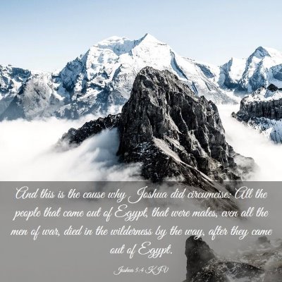 Picture 03 - Joshua 5:4 KJV - And this is the cause why Joshua did circumcise: - Bible Verse Picture
