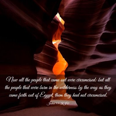Picture 03 - Joshua 5:5 KJV - Now all the people that came out were - Bible Verse Picture