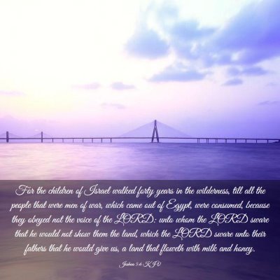Picture 03 - Joshua 5:6 KJV - For the children of Israel walked forty years in - Bible Verse Picture
