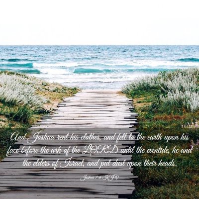 Picture 03 - Joshua 7:6 KJV - And Joshua rent his clothes, and fell to the - Bible Verse Picture