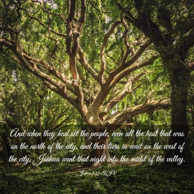 Picture 03 - Joshua 8:13 KJV - And when they had set the people, even all the - Bible Verse Picture
