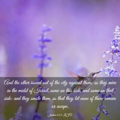 Picture 03 - Joshua 8:22 KJV - And the other issued out of the city against - Bible Verse Picture
