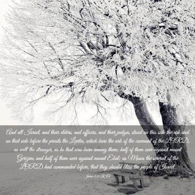Picture 03 - Joshua 8:33 KJV - And all Israel, and their elders, and officers, - Bible Verse Picture