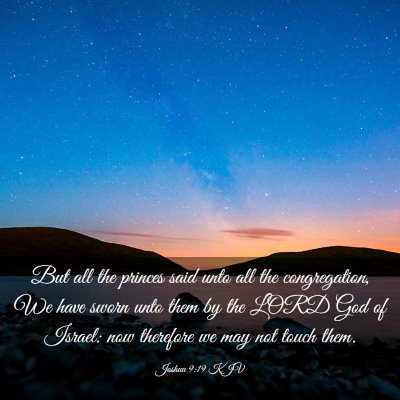 Picture 03 - Joshua 9:19 KJV - But all the princes said unto all the - Bible Verse Picture