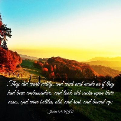 Picture 03 - Joshua 9:4 KJV - They did work wilily, and went and made as if - Bible Verse Picture