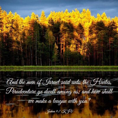 Picture 03 - Joshua 9:7 KJV - And the men of Israel said unto the Hivites, - Bible Verse Picture