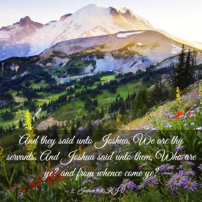 Picture 03 - Joshua 9:8 KJV - And they said unto Joshua, We are thy servants. - Bible Verse Picture