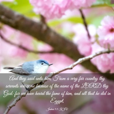 Picture 03 - Joshua 9:9 KJV - And they said unto him, From a very far country - Bible Verse Picture