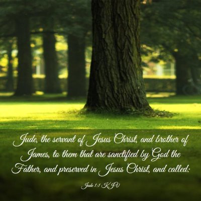 Picture 03 - Jude 1:1 KJV - Jude, the servant of Jesus Christ, and brother of - Bible Verse Picture