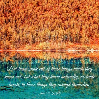 Picture 03 - Jude 1:10 KJV - But these speak evil of those things which they - Bible Verse Picture