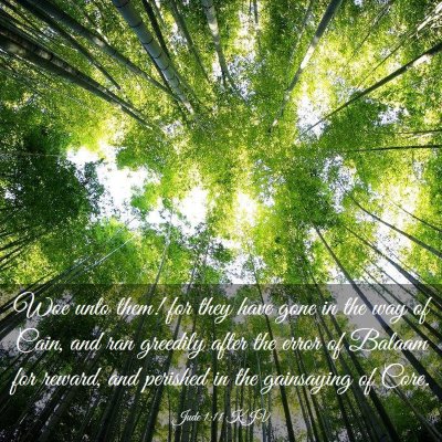 Picture 03 - Jude 1:11 KJV - Woe unto them! for they have gone in the way of - Bible Verse Picture