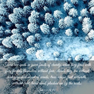 Picture 03 - Jude 1:12 KJV - These are spots in your feasts of charity, when - Bible Verse Picture