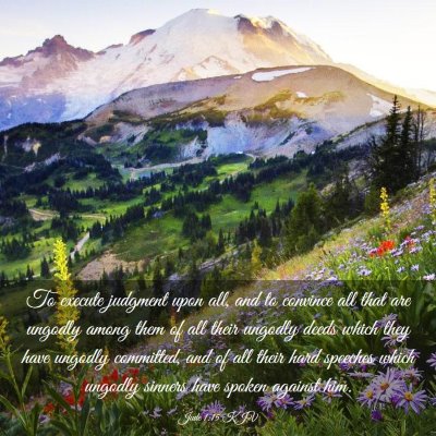 Picture 03 - Jude 1:15 KJV - To execute judgment upon all, and to convince all - Bible Verse Picture