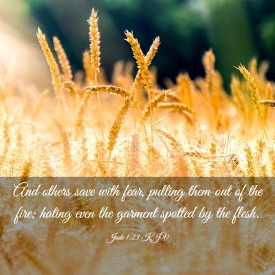 Picture 03 - Jude 1:23 KJV - And others save with fear, pulling them out of - Bible Verse Picture