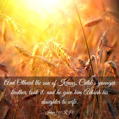 Picture 03 - Judges 1:13 KJV - And Othniel the son of Kenaz, Caleb's younger - Bible Verse Picture