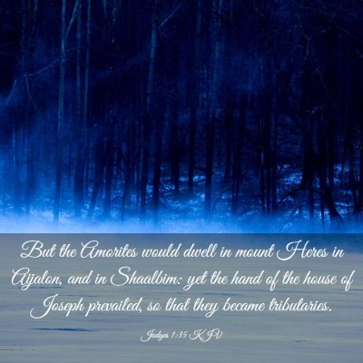 Picture 03 - Judges 1:35 KJV - But the Amorites would dwell in mount Heres in - Bible Verse Picture