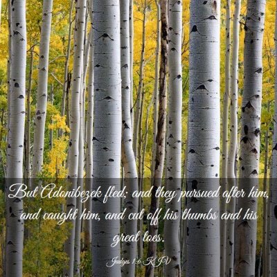 Picture 03 - Judges 1:6 KJV - But Adonibezek fled; and they pursued after him, - Bible Verse Picture